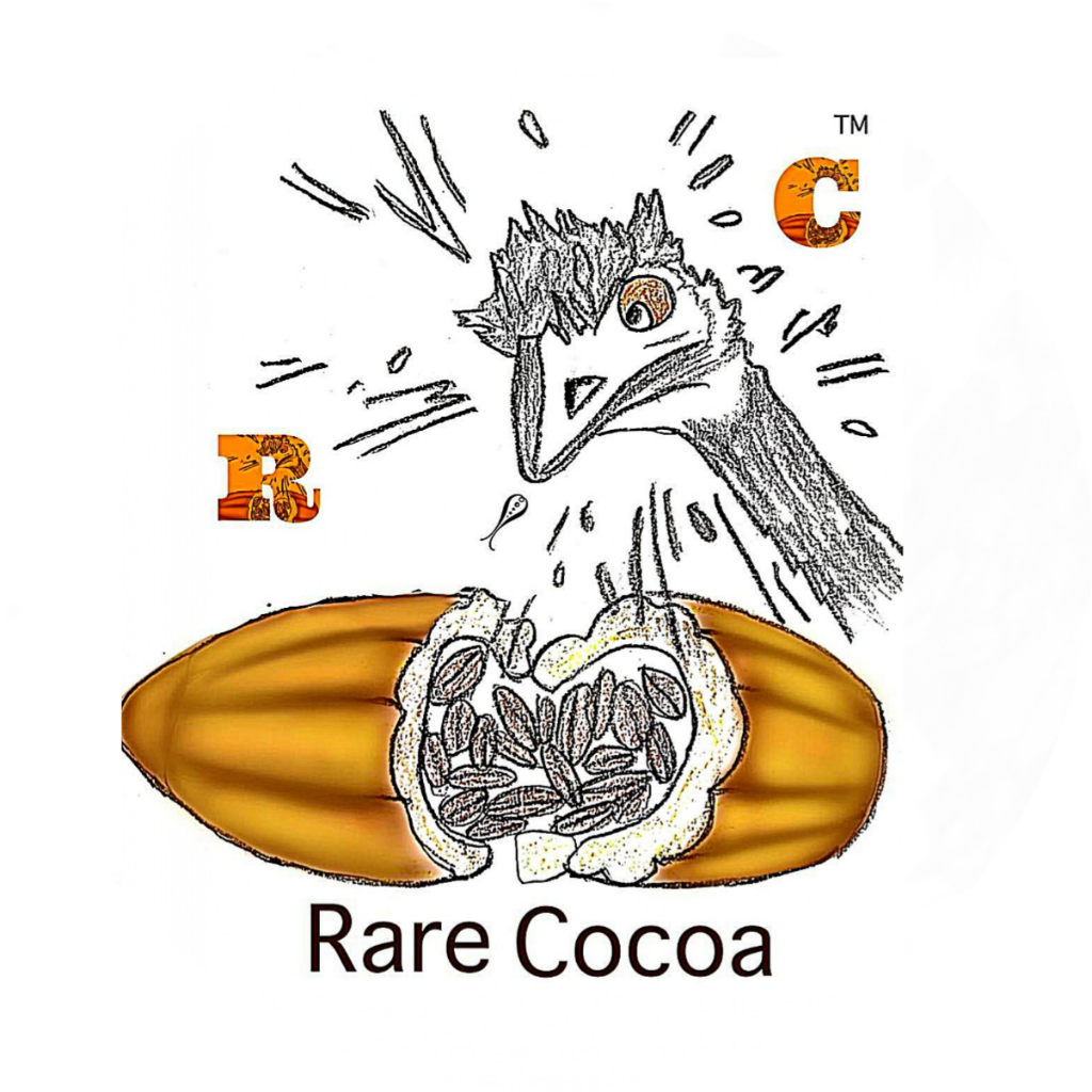 Rare Cocoa Logo